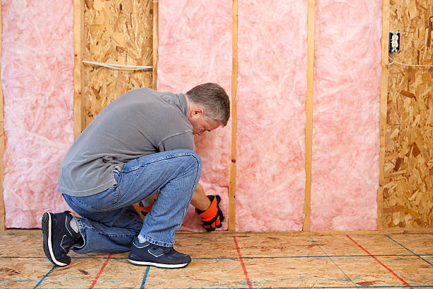 Best Insulation Installation Services in Rosamond, CA